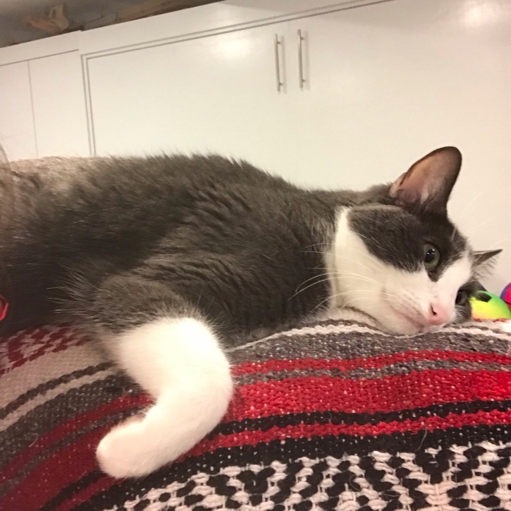 Meet your Posher, Sabrina